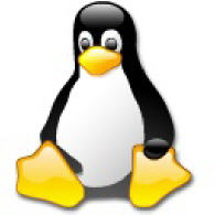 Linux oder kein Betriebssystem