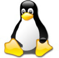 Linux oder kein Betriebssystem